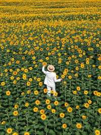 秋日仙境｜藏在雲平山的絕美調色盤