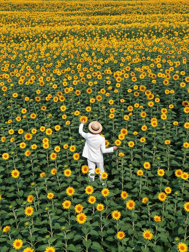 秋日仙境｜藏在雲平山的絕美調色盤