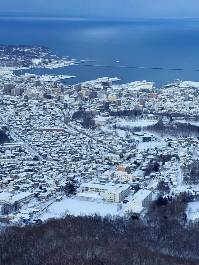🩵홋카이도 공략집 | 피 토하며 정리한 버전, 놓치면 1년 기다려야 해요