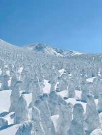 日本東北秘境！冬季限定小眾路線大公開