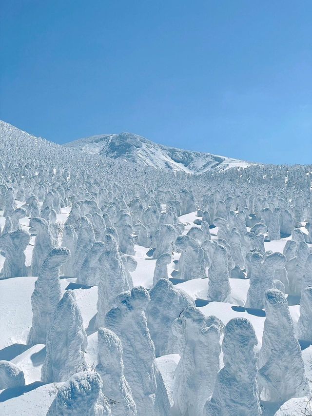 日本東北秘境！冬季限定小眾路線大公開