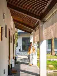 鄭州周邊秋日私藏線!賞千年銀杏,看紅葉漫山