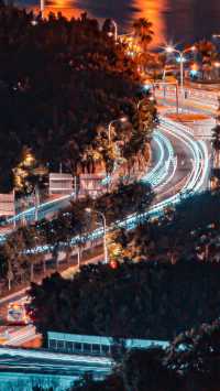 城市森林漫步天花板