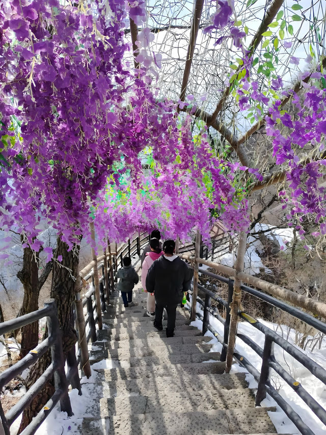 【震撼登頂!探秘河南隱藏的「武當山」——王屋山全攻略】 【震撼登頂!探秘河南隱藏的「武當山」——王屋山全攻略】