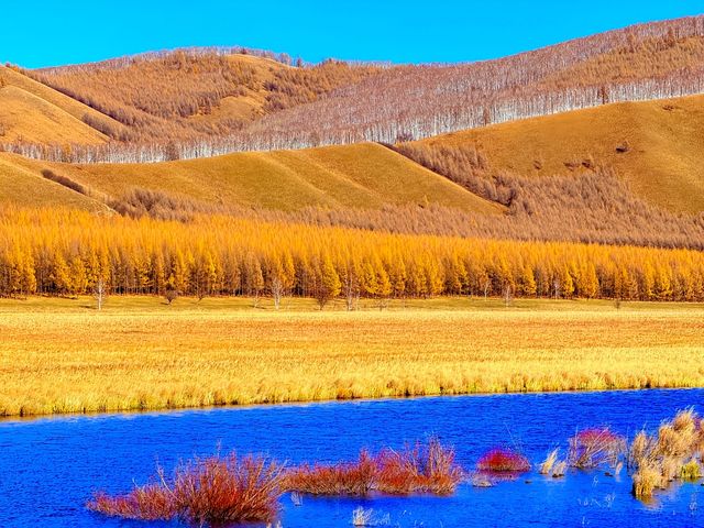 深秋阿爾山騎馬逐浪邂逅大興安嶺最美秋天