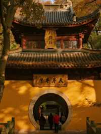 棲霞山親子攻略!歷史+美景雙豐收