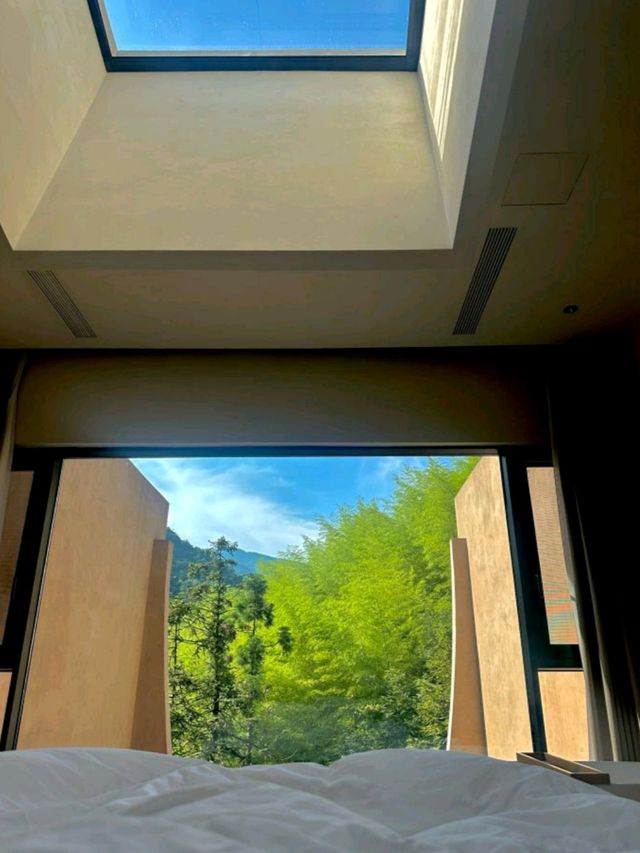 竹林秘境裡的侘寂溫泉美學 竹林秘境裡的侘寂溫泉美學