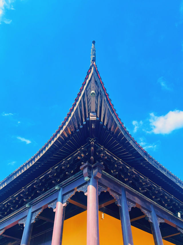 滬浙邊界的遺珠 | 在新倉，與江南的慢時光溫柔相遇