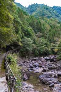 秋假反向遊 |麗水遂昌自駕兩天一夜小記