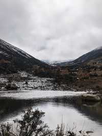 川西秋日封神！每一幀都像闖進油畫裡