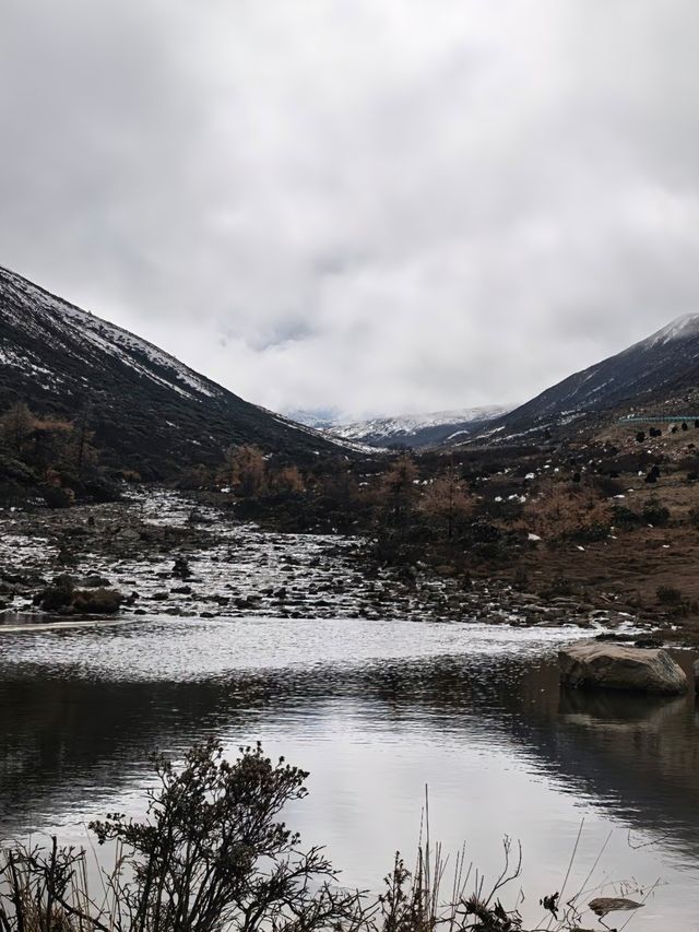 川西秋日封神！每一幀都像闖進油畫裡