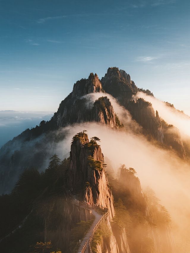 帶娃遊莽山！不用爬山的雲海親子之旅