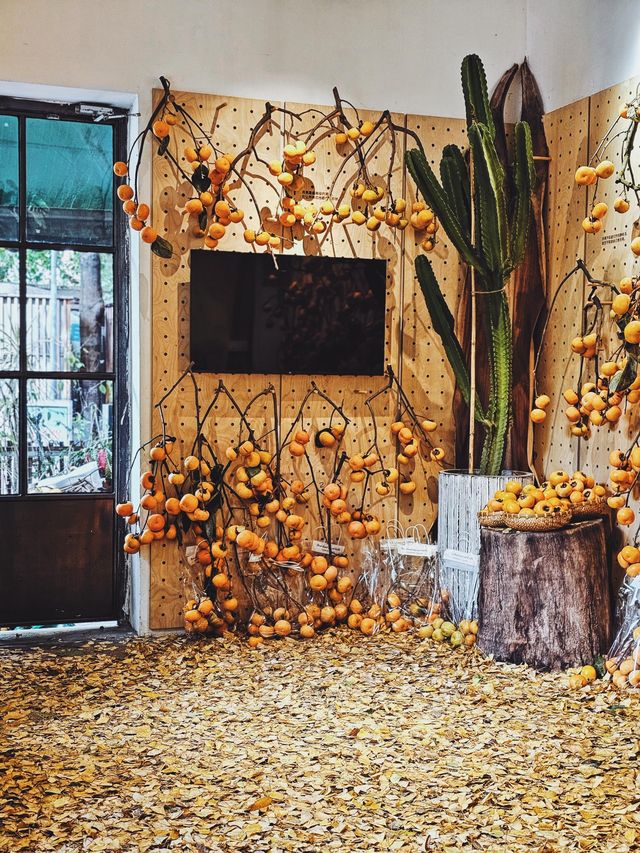 在佛山，如何過一個文藝感拉滿的秋日午後？