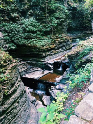 New York Surrounding Tours: Watkins Glen State Park
