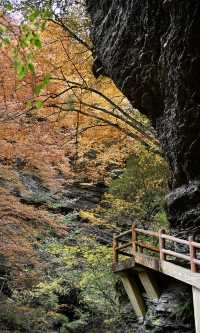 陝西秋日封神之境！黎坪紅葉美到失語