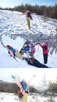 去了沒有雪松的樺皮嶺,想看你們拍的雪松