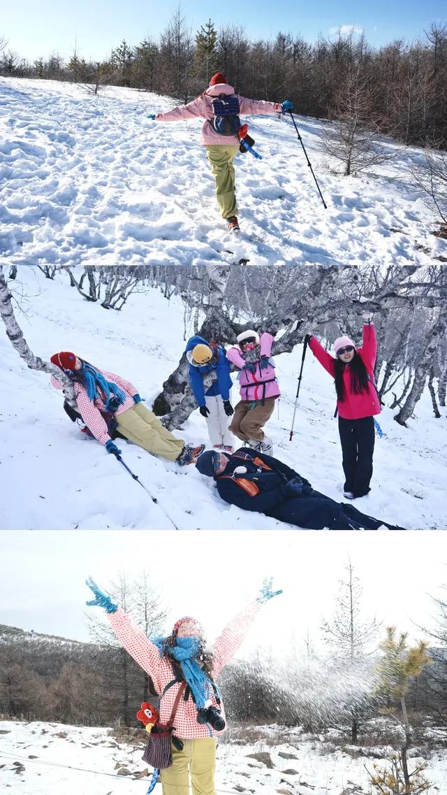 去了沒有雪松的樺皮嶺,想看你們拍的雪松 去了沒有雪松的樺皮嶺,想看你們拍的雪松