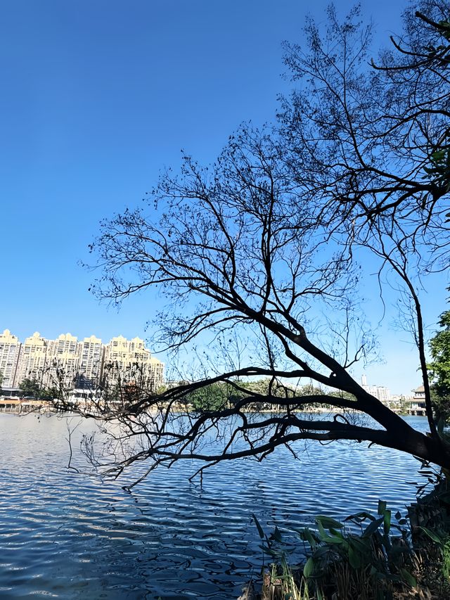 先喊一句:揭陽西湖你還有多少驚喜是我們不知道的! 先喊一句:揭陽西湖你還有多少驚喜是我們不知道的!