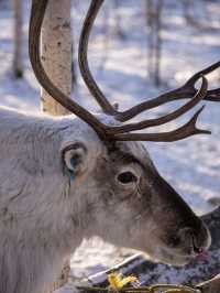 7日玩轉牡丹江等地超全攻略快碼住