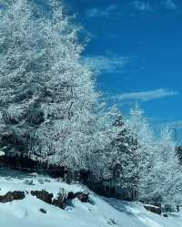 這簡直就是 滑雪愛好者的福音!!!