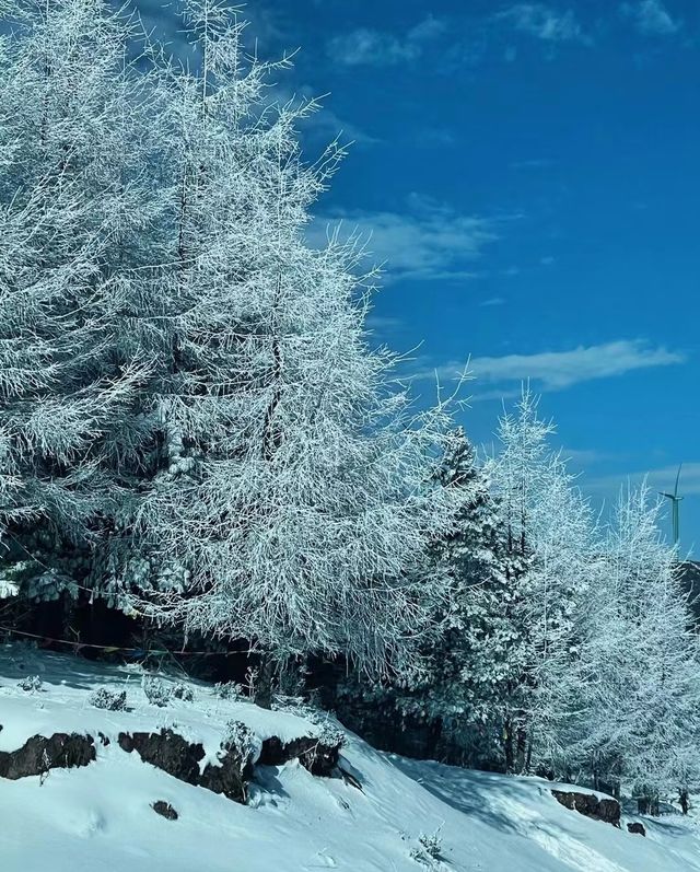 這簡直就是 滑雪愛好者的福音!!! 這簡直就是 滑雪愛好者的福音!!!