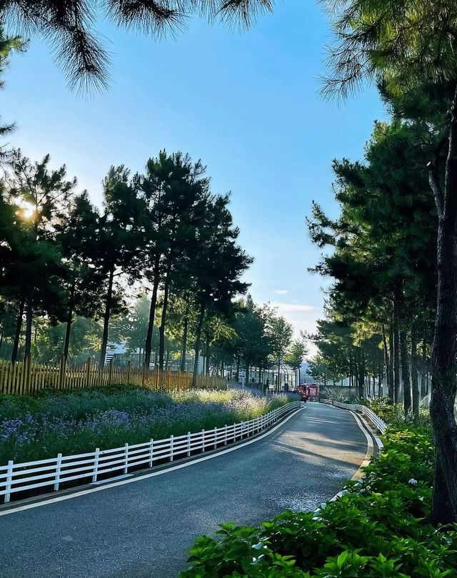 【打卡豐城愛情花卉小鎮】 【打卡豐城愛情花卉小鎮】