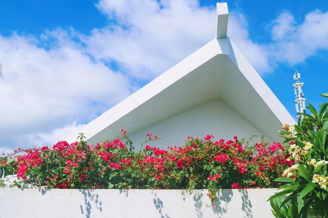 感恩季|沐浴陽光，奢享海島時光