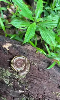 西雙版納我只去兩個地兒(下)