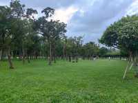 海口氣質拍照聖地