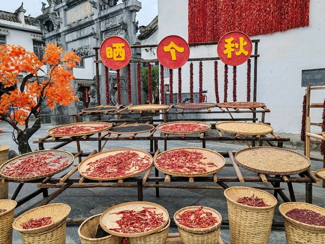 Sun-Drying Harvest Scenery in Jiangwan Ancient Town