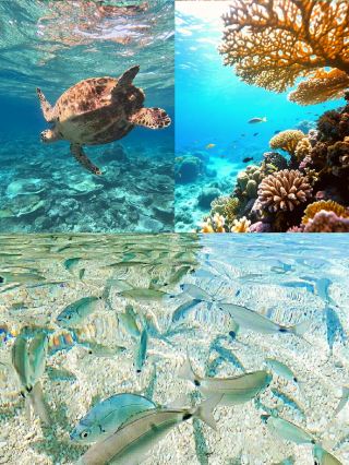 Not the Maldives, but the Glass Sea Secret of China’s Xisha Islands