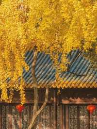 保姆級出片指南朝天宮藍白穿搭攻略