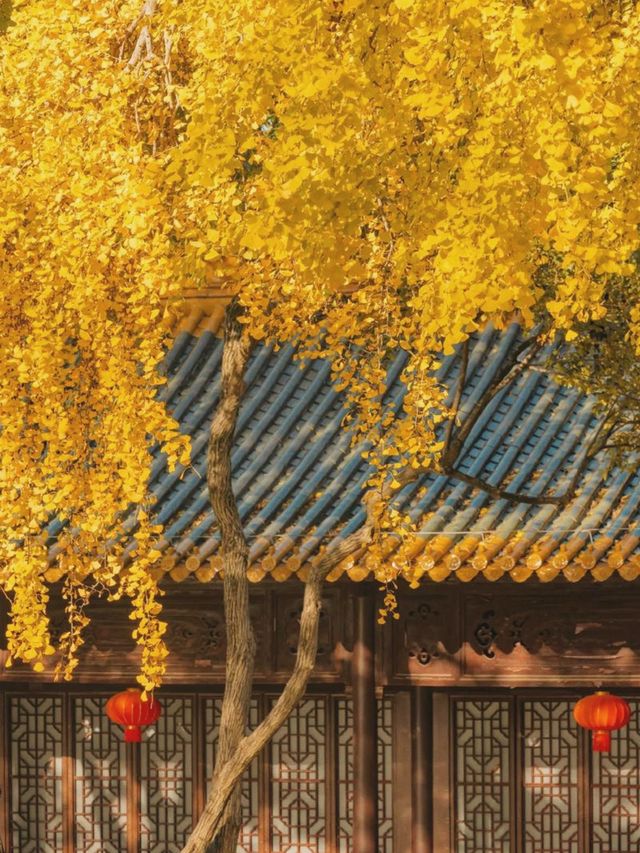 保姆級出片指南朝天宮藍白穿搭攻略