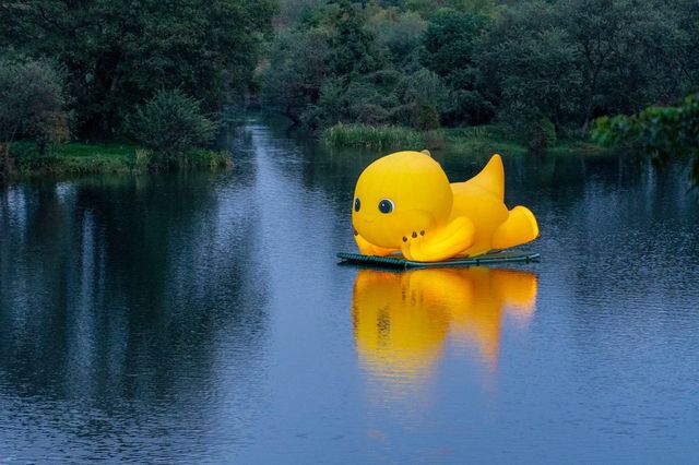 婺女洲夜遊美哭婺源兩天一夜｜