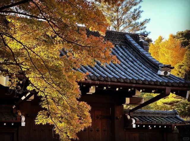 皇居乾通道秋季限定開放