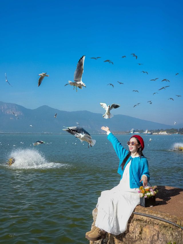 昆明限定一日遊 喂海鷗+逛老街太治癒啦 昆明限定一日遊 喂海鷗+逛老街太治癒啦