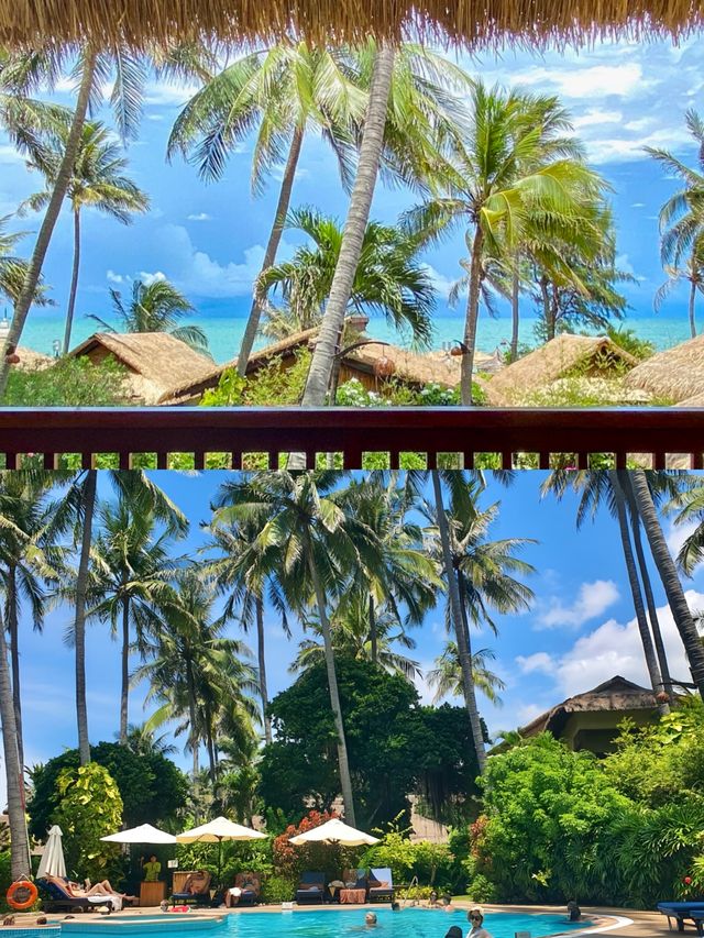 避世美奈,綠洲仙境 避世美奈,綠洲仙境