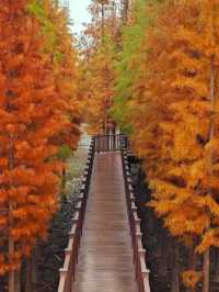 雙山島簡直就是神仙拍照地