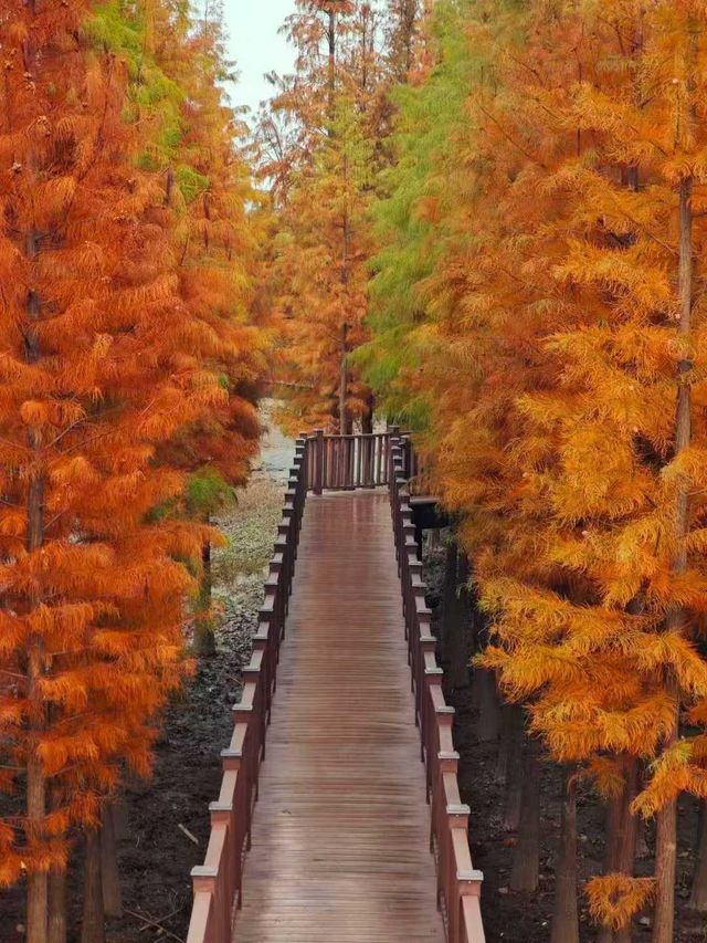 雙山島簡直就是神仙拍照地