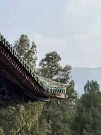 洛陽|週末泡溫泉逛少林寺親子兩日遊