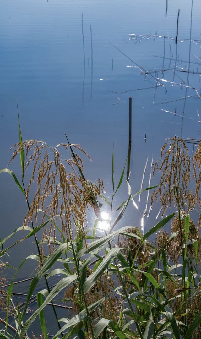 原來茅山可以開車直達山頂