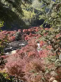 不是京都!實況無調色