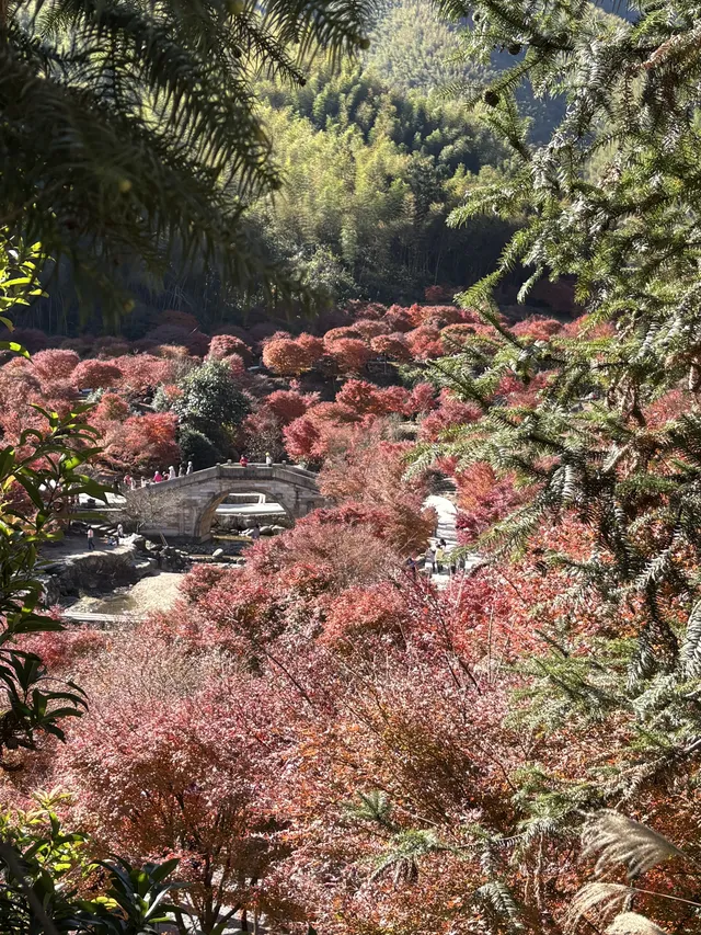 不是京都!實況無調色 不是京都!實況無調色