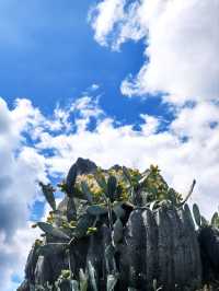 石林一日遊攻略：4小時玩轉大石林+小石林，不走冤枉路