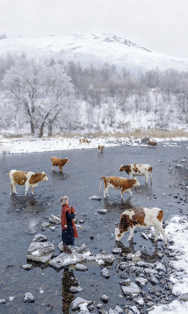 以為夏天的呼倫貝爾夠美了沒想到冬季依舊封神 以為夏天的呼倫貝爾夠美了沒想到冬季依舊封神
