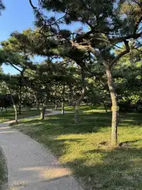 青島你美 冬日citywalk~