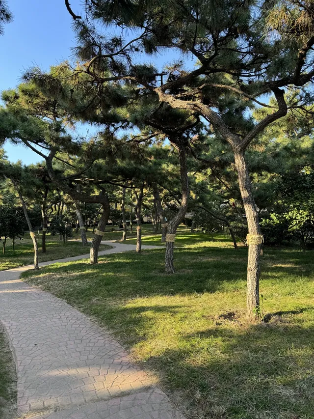 青島你美 冬日citywalk~ 青島你美 冬日citywalk~