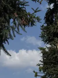 旅行日記|逛了千戶苗寨 去了荔波小七孔