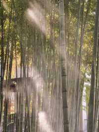 秋日魔都光影秘境