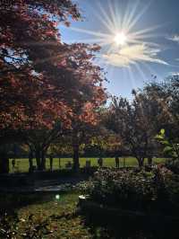 因特拉肯,愛在深秋